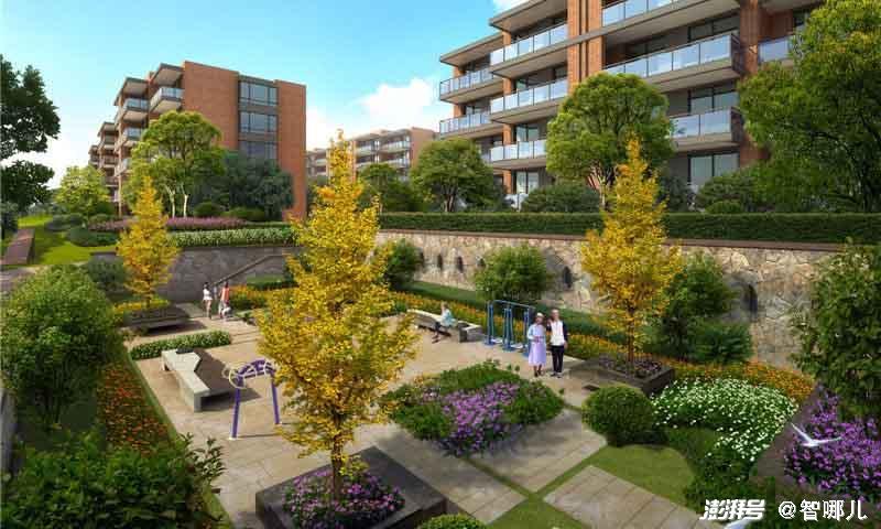 智慧養(yǎng)老怎么“養(yǎng)”？不要讓科技成為老年群體的束縛(圖2)